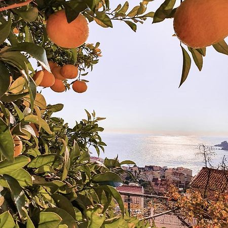 Apartman Lana Petrovac Bagian luar foto