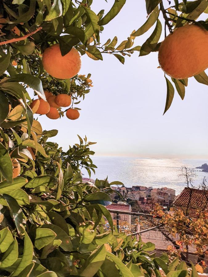 Apartman Lana Petrovac Bagian luar foto